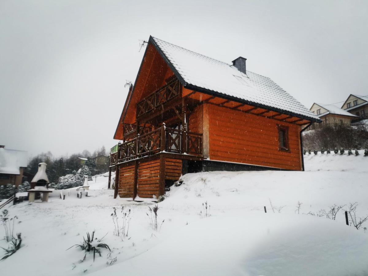 Stare Zabrodzie Villa Solina  Dış mekan fotoğraf