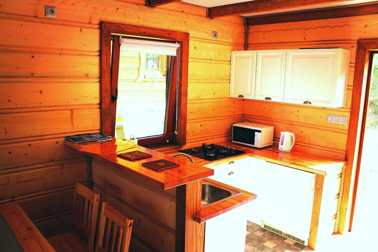 Stare Zabrodzie Villa Solina  Dış mekan fotoğraf